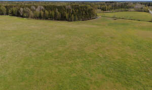 large field of low grass seen from above