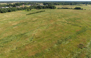 aerial view of large meadow in countryside