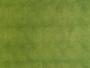 aerial view of mowed lawn