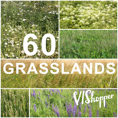 60 Grasslands Collection