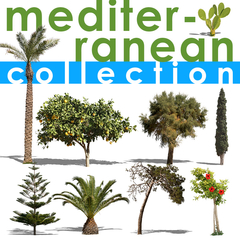 Mediterranean Collection