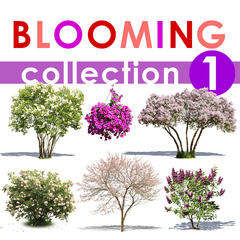 Blooming Collection 1