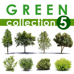 Green Collection 5