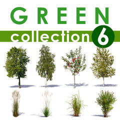 Green Collection 6