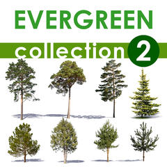 The Ultimate Green Collection 2