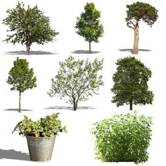 The Ultimate Green Collection 2