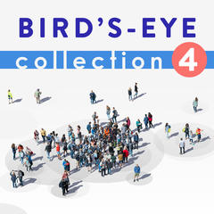 Birds Eye Collection 4