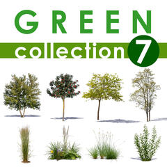 Green Collection 7