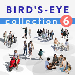 Birds Eye Collection 6