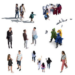 Birds Eye Collection 6
