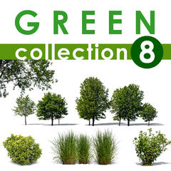 Green Collection 8