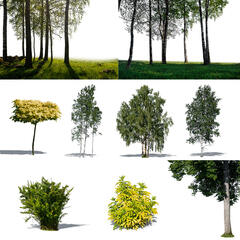 Green Collection 8