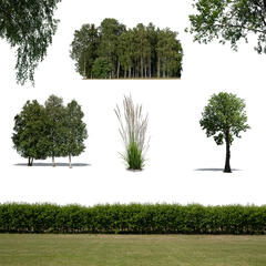 Green Collection 8