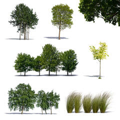 Green Collection 8