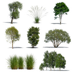 Green Collection 8