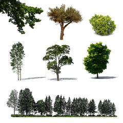 Green Collection 8