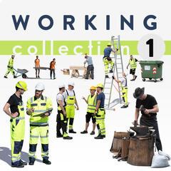Working Collection 1