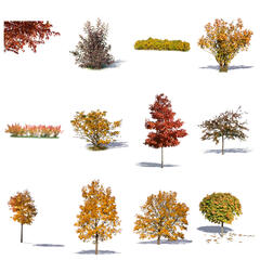 Golden Collection 2