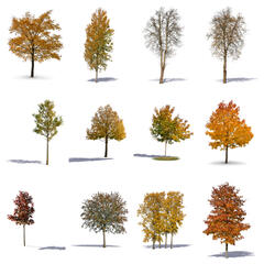 Golden Collection 2