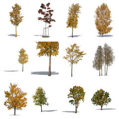Golden Collection 2