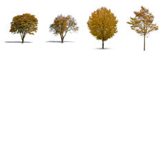 Golden Collection 2