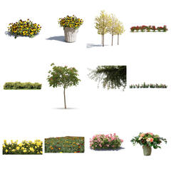 Blooming Collection 2