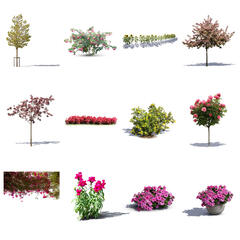 Blooming Collection 2