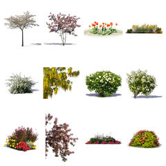 Blooming Collection 2