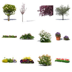 Blooming Collection 2
