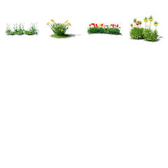 Blooming Collection 2