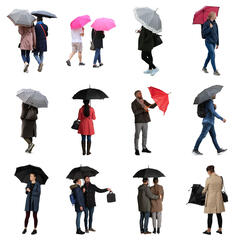 Raining Collection 2