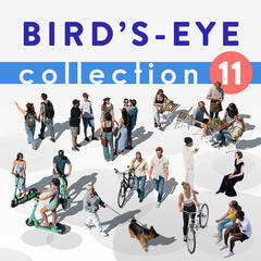 Birds Eye Collection 11