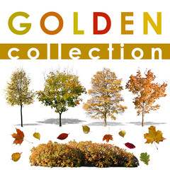 Golden Collection 1