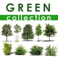 Green Collection 1