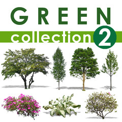 Green Collection 2