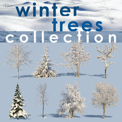 Winter Trees Collection 1