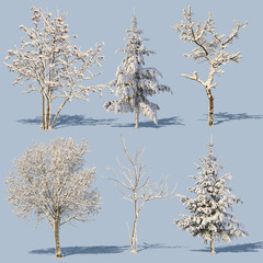 Winter Trees Collection 1