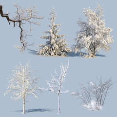 Winter Trees Collection 1