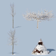 Winter Trees Collection 1