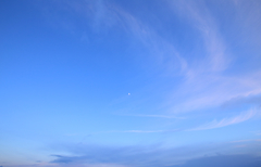 101 Skies Collection