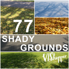 77 Shady Grounds