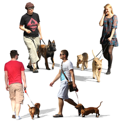 People Walking Dogs Collection