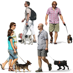 People Walking Dogs Collection