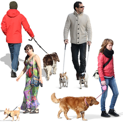 People Walking Dogs Collection