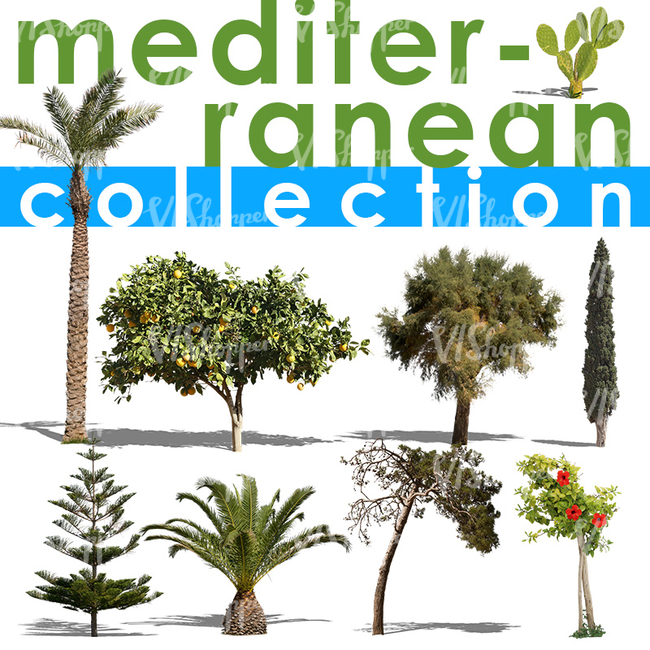 Mediterranean Collection
