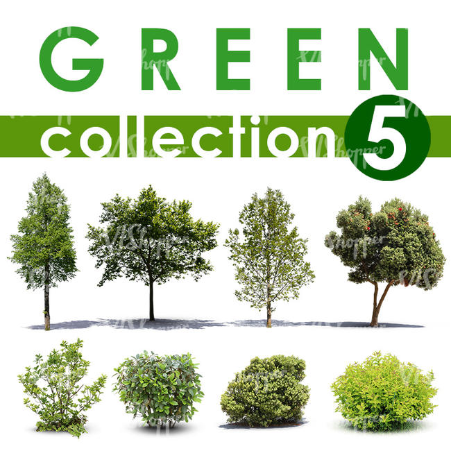 Green Collection 5