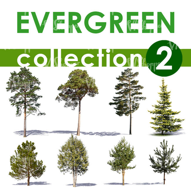 Evergreen Collection 2