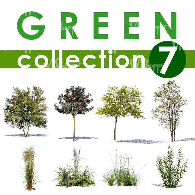 Green Collection 7