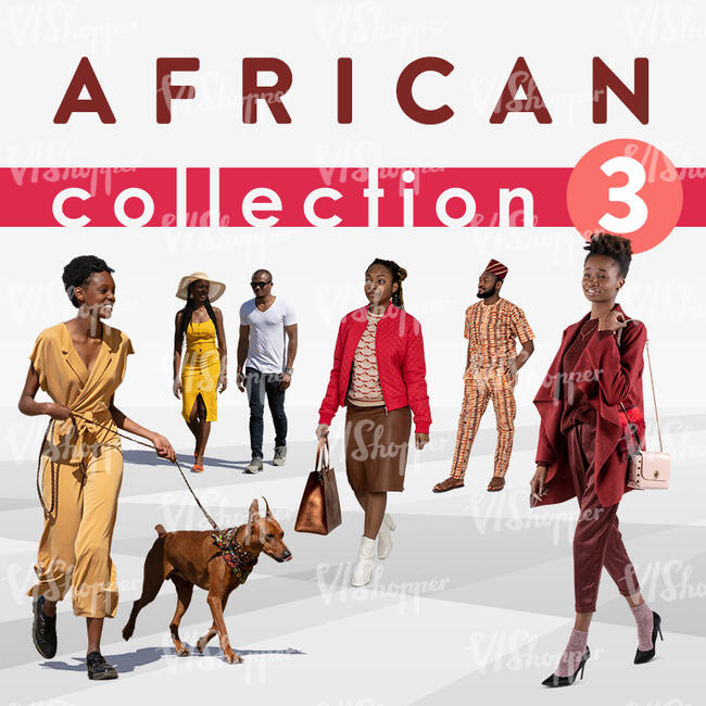 African Collection 3