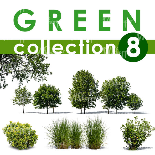 Green Collection 8